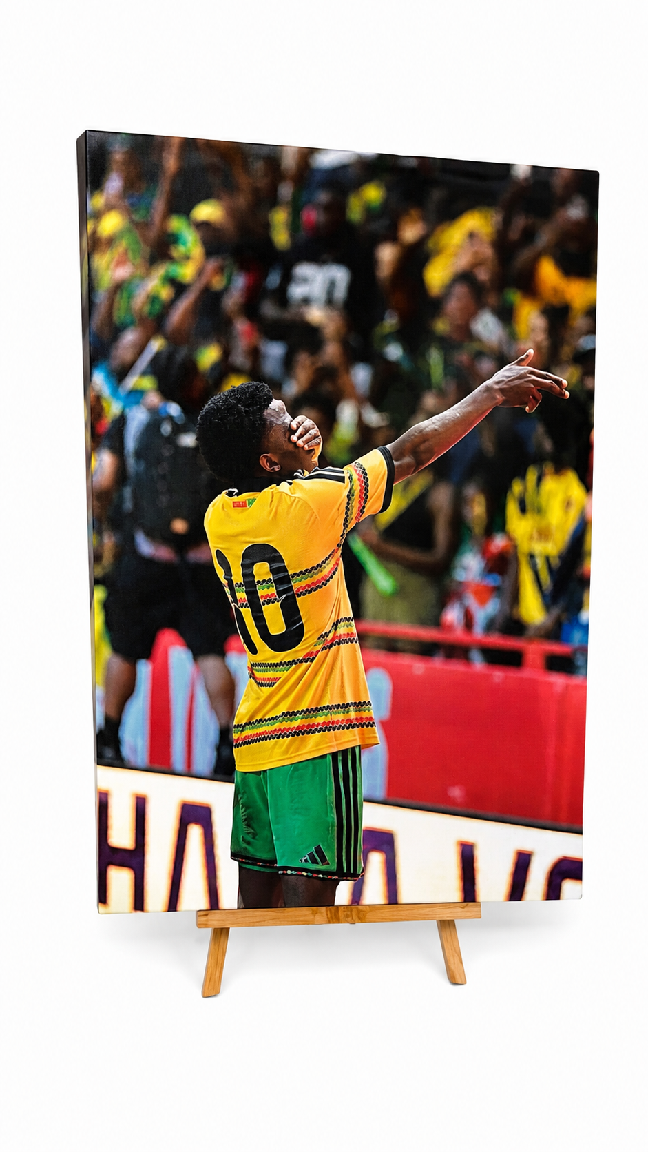 Gallery Wrapped Canvas